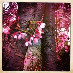 How to Remove Spy Software on My Phone